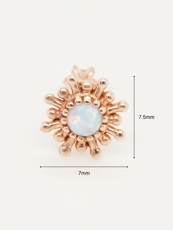 14K Gold Golden Sunrise Opal Cartilage Earring 18G16G