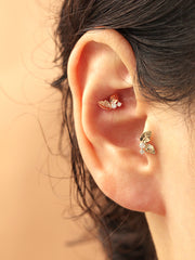 14K gold Fruit Cubic Leaf cartilage earring 20g
