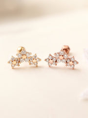 ?¬이즈확??/ 14K STAR FLOWER barbell piercing