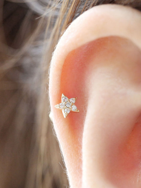 14K Gold Mini Star Cartilage Earring 18G16G