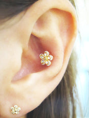 5 petal CZ Flower Cartilage earring